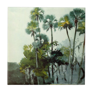 Carreau Homer - Homosassa River
