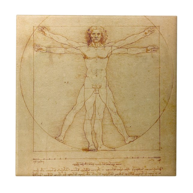 Carreau Homme vitruvien par Leonardo Da Vinci (Devant)