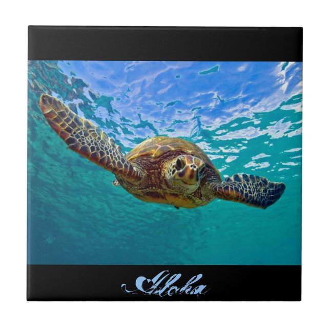 Carreau Honu hawaïen - tortue de mer (Devant)