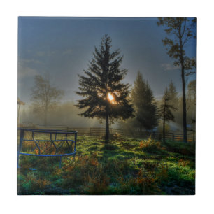 Carreau Horse Ranch Sunrise Nature Photo