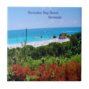 Carreau Horseshoe, Bay Beach, Bermudes