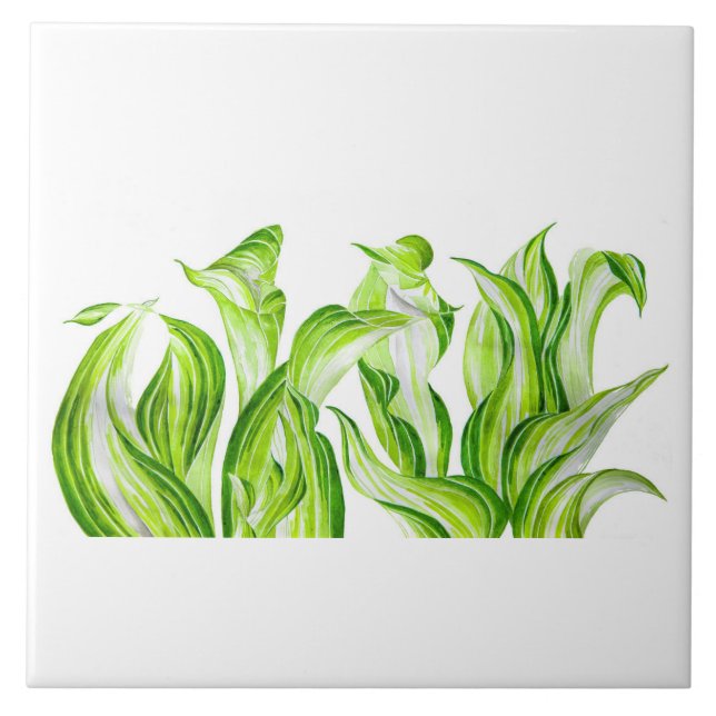 Carreau 'Hosta avec le Mosta' sur un carrelage en céramiqu (Devant)