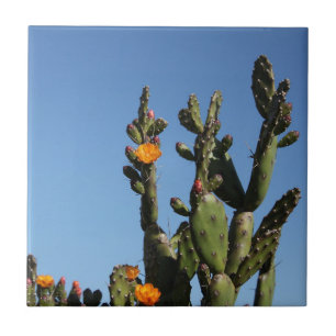 Carreau Hot Africa Desert Cactus Plante Prickly Pear Flowe