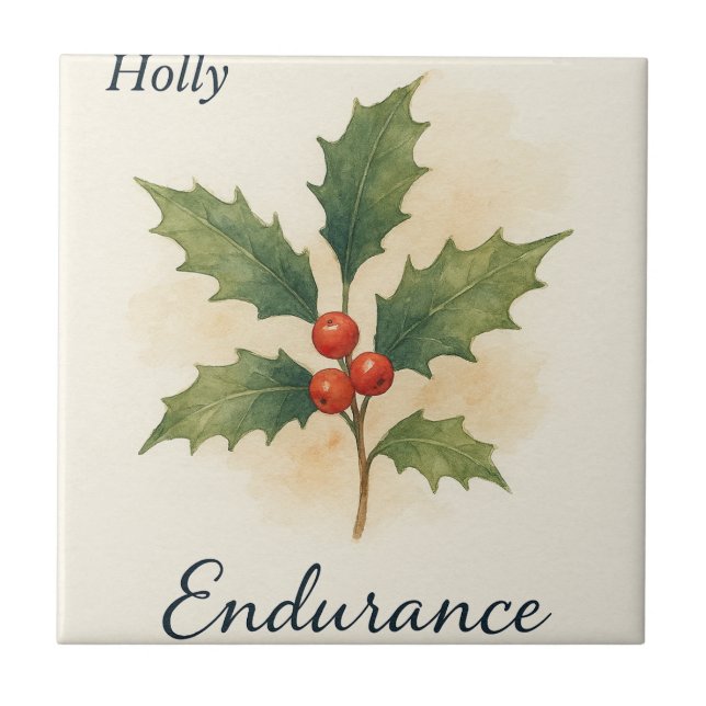 Carreau Houx — Endurance (Devant)