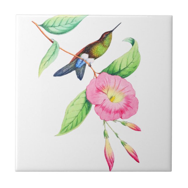 Carreau Humingbird Et Hybiscus (Devant)