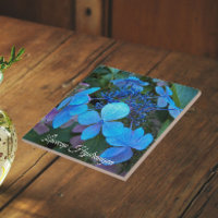 Hydrangea à chapeau de dentelle bleu floral