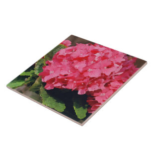 Carreau Hydrangée rose