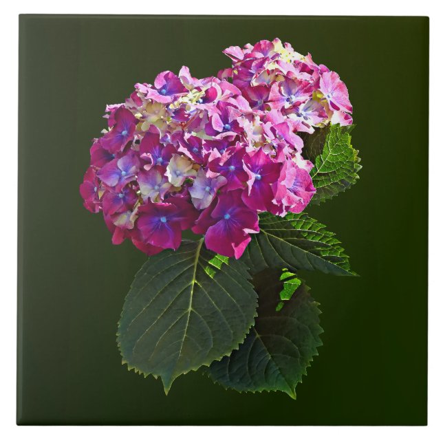 Carreau Hydrangée rose (Devant)