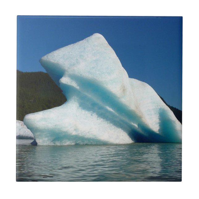 Carreau Iceberg sur le lac Mendenhall en Alaska (Devant)