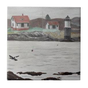 Carreau Île Ram Maine