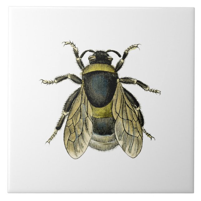 Carreau Illustration antique d'abeille (Devant)