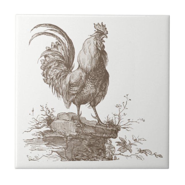 Carreau Illustration avec du charme de ton de sépia de coq (Devant)
