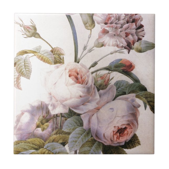 Carreau Illustration botanique vintage, rose rose (Devant)