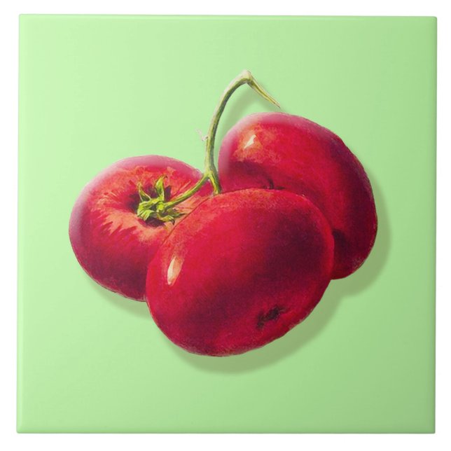 Carreau Illustration botanique vintage, tomates (Devant)