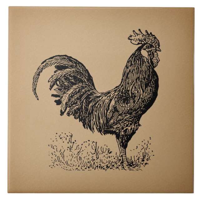 Carreau Illustration Brown d'un coq d'époque (Devant)