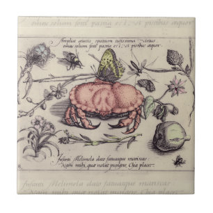 Carreau Illustration de fleur d'insecte botanique de crabe