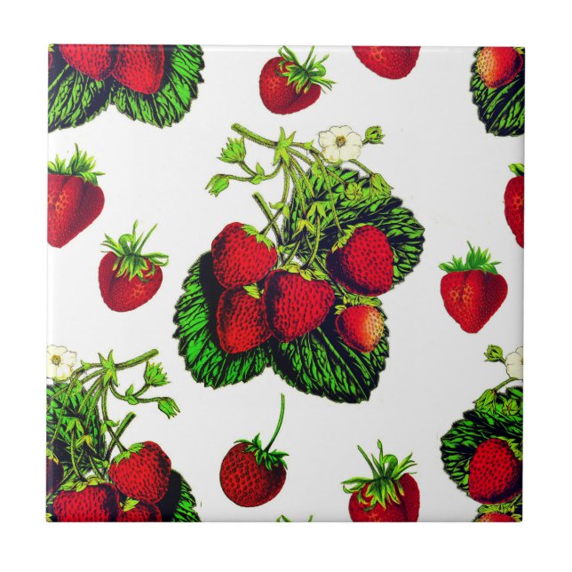 Carreau Illustration de fraise botanique Imprimer sur blan (Devant)