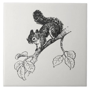 Carreau Illustration de l'écureuil Vintage mou