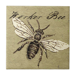 Carreau Illustration de l'insecte d'abeille vintage