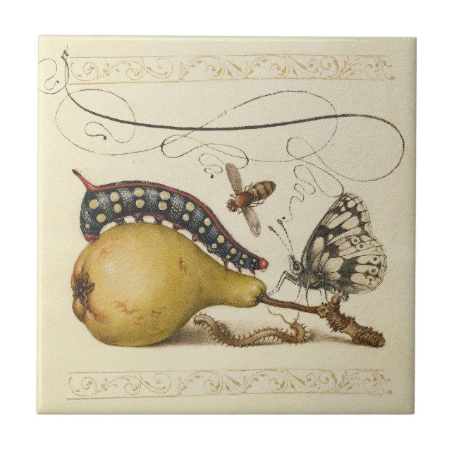 Carreau Illustration de l'insecte du fruit du papillon (Devant)