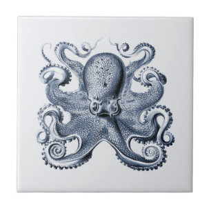 Carreau Illustration de Navy Blue Octopus par Ernst Haecke