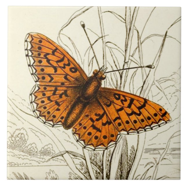 Carreau Illustration de papillon vintage, orange et noir (Devant)