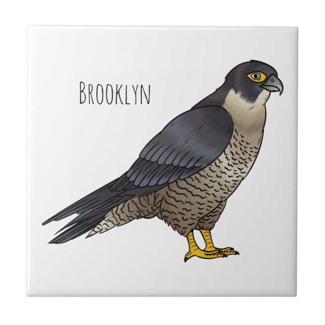 Carreau Illustration d'oiseau de faucon pèlerin (Devant)