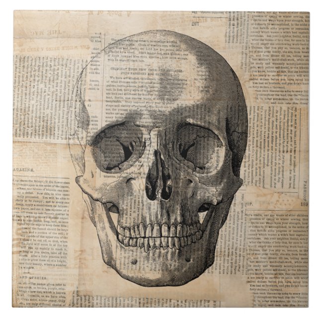 Carreau Illustration du crâne antique Nouvelles de l'art V (Devant)