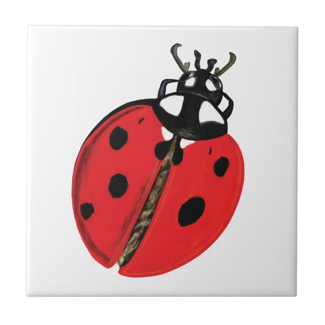 Carreau Illustration Lady Bug (Devant)