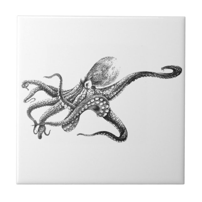 Carreau Illustration noire et blanche de poulpe (Devant)