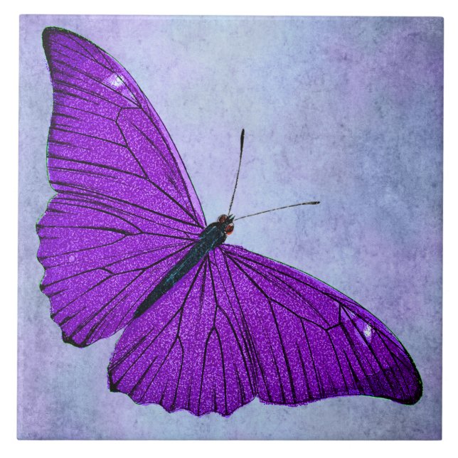 Carreau Illustration pourpre foncée de papillon de 1800s (Devant)