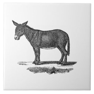 Carreau Illustration vintage d'âne - ânes 1800's