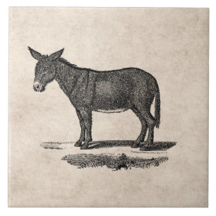 Carreau Illustration vintage d'âne - ânes 1800's