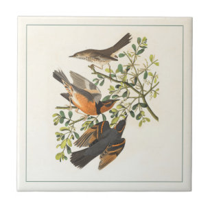 Carreau Illustration vintage des oiseaux botaniques