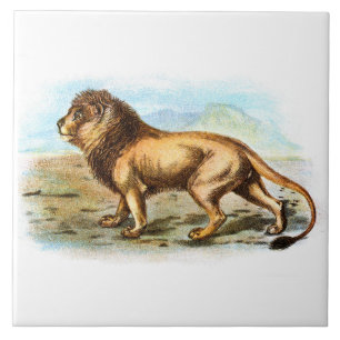 Carreau Illustration vintage d'un animal de lion