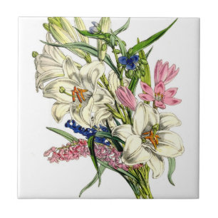 Carreau Illustrations des plantes vintages