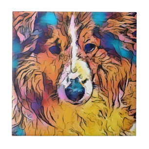 Carreau Image de Sheltie