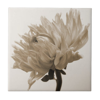 Carreau impression dahlia sepia
