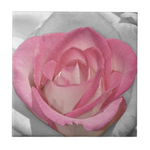 Carreau Impression de rose vintage rose