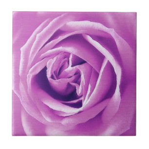 Carreau Impression rose Lavender