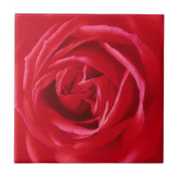 imprimé rose rouge
