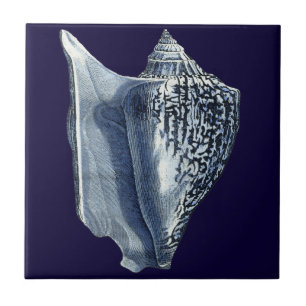 Carreau Indigo Shells I