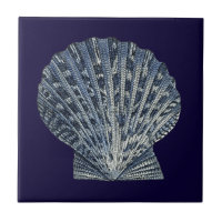 Indigo Shells VIII