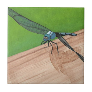 Carreau Insecte à libellules bleues sur un carrelage