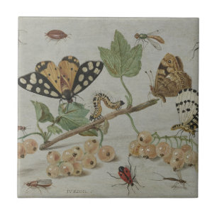 Carreau Insectes et fruits