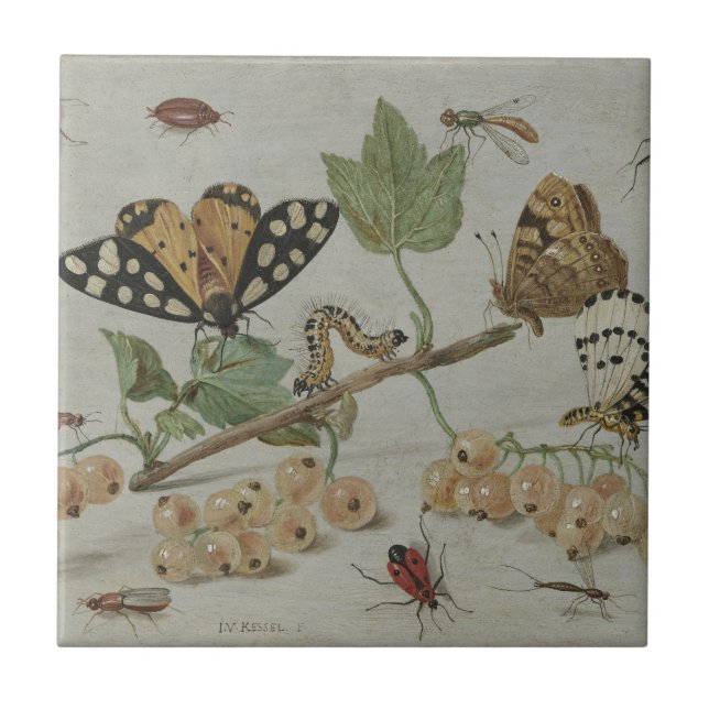 Carreau Insectes et fruits (Devant)