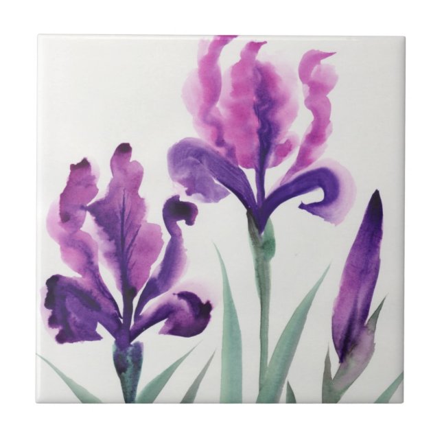 Carreau Iris (Devant)