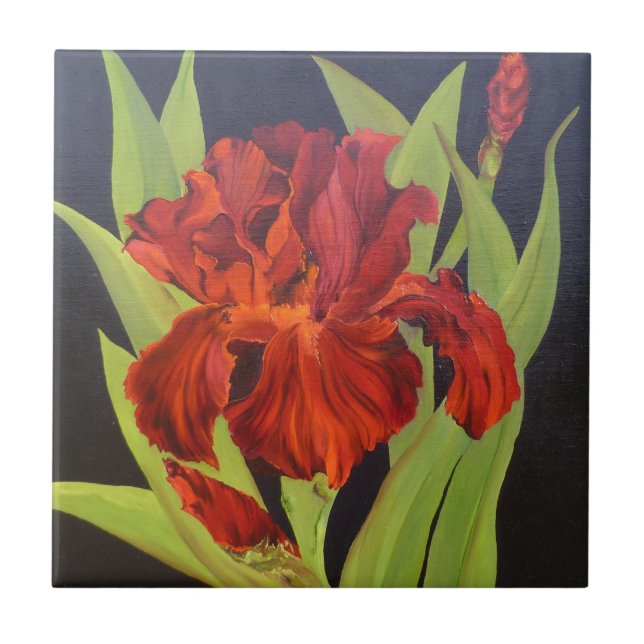 Carreau Iris de rouge de flamme de vaudou (Devant)