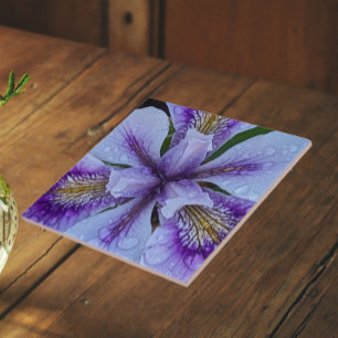 Carreau Iris floral sans barbe violet