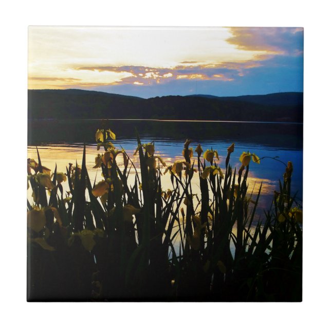 Carreau Iris jaunes sur la rive du lac Arrowhead (Devant)